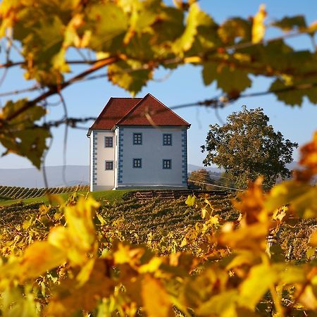 Ferienwohnung Wine Grower's Mansion Zlati Gric Slovenske Konjice Exterior foto