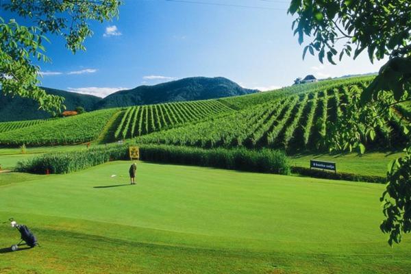 Ferienwohnung Wine Grower's Mansion Zlati Gric Slovenske Konjice Exterior foto