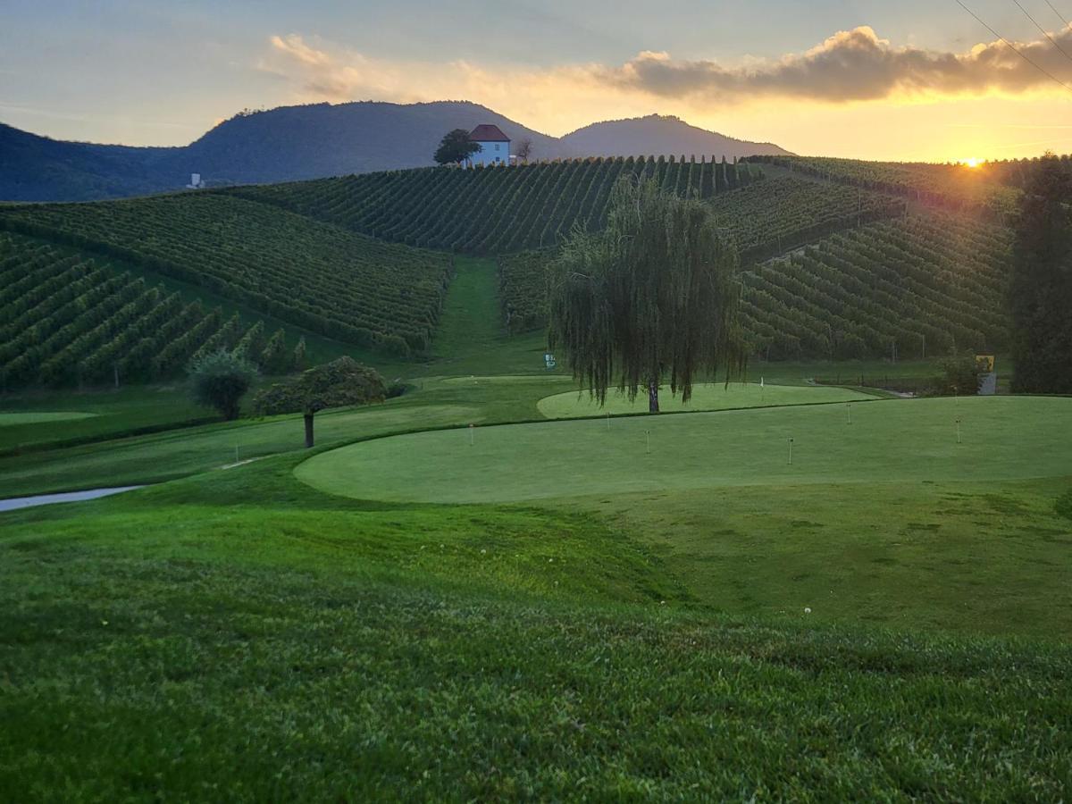 Ferienwohnung Wine Grower's Mansion Zlati Gric Slovenske Konjice Exterior foto