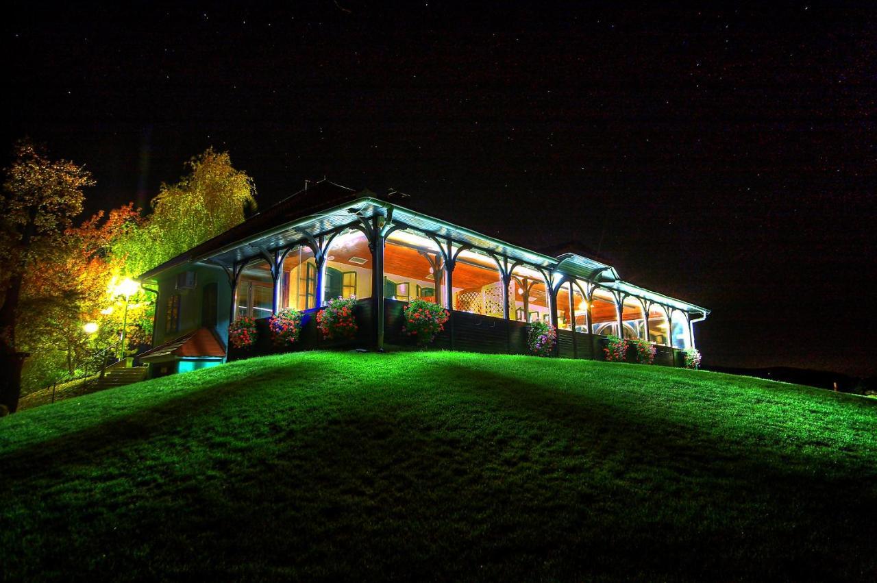 Ferienwohnung Wine Grower's Mansion Zlati Gric Slovenske Konjice Exterior foto