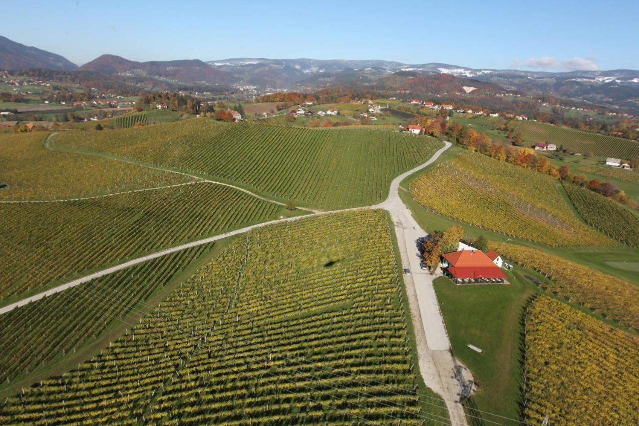 Ferienwohnung Wine Grower's Mansion Zlati Gric Slovenske Konjice Exterior foto