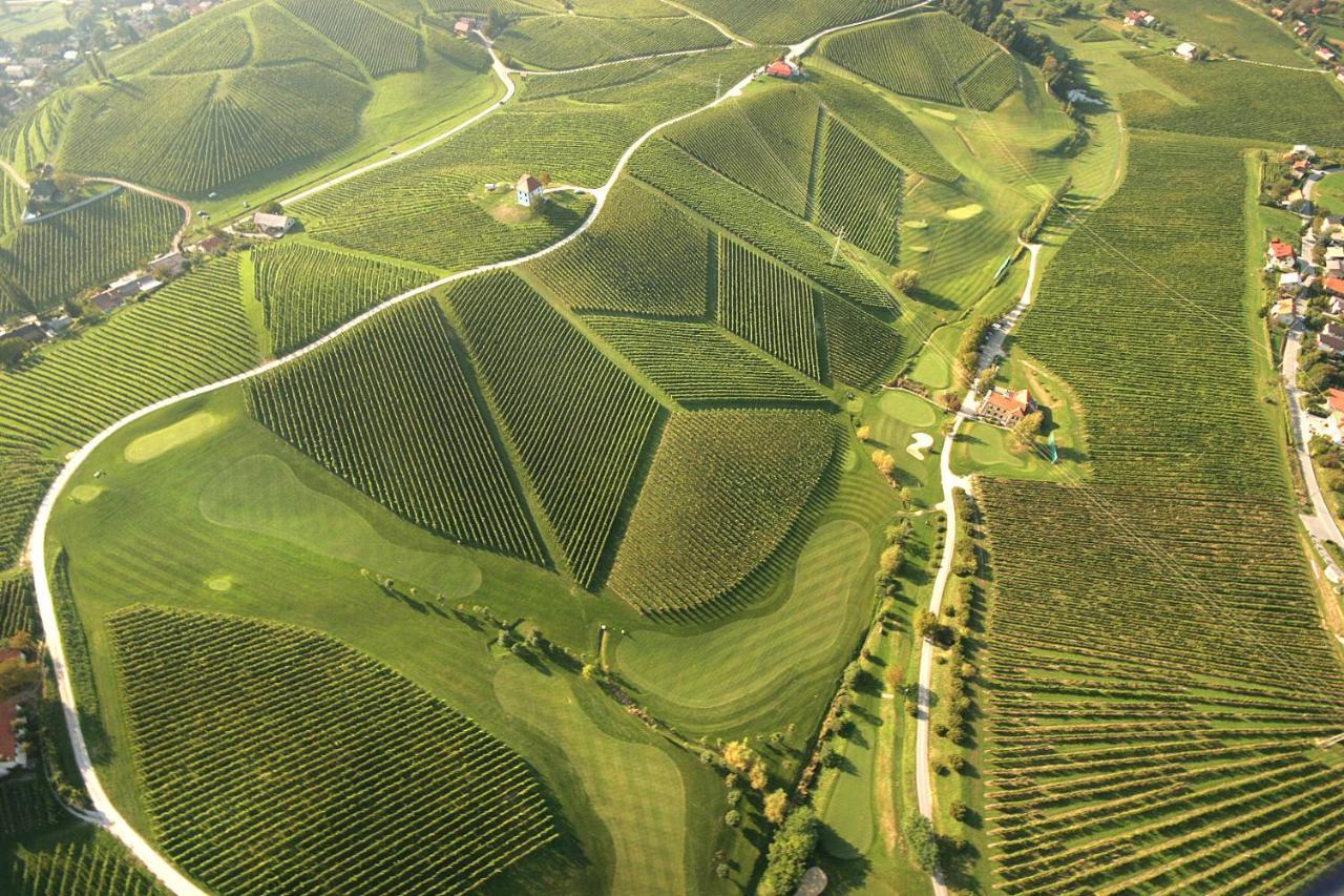 Ferienwohnung Wine Grower's Mansion Zlati Gric Slovenske Konjice Exterior foto