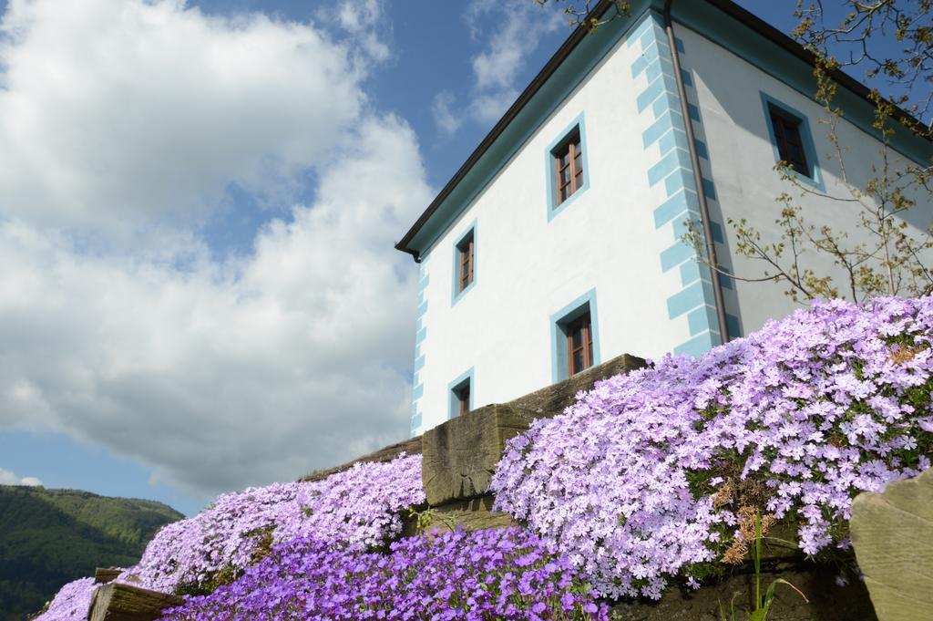 Ferienwohnung Wine Grower's Mansion Zlati Gric Slovenske Konjice Exterior foto