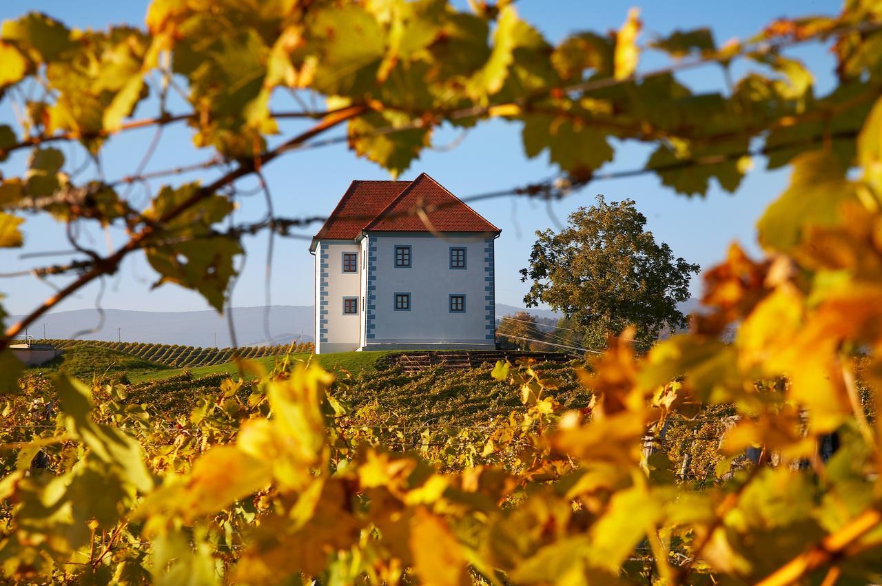 Ferienwohnung Wine Grower's Mansion Zlati Gric Slovenske Konjice Exterior foto