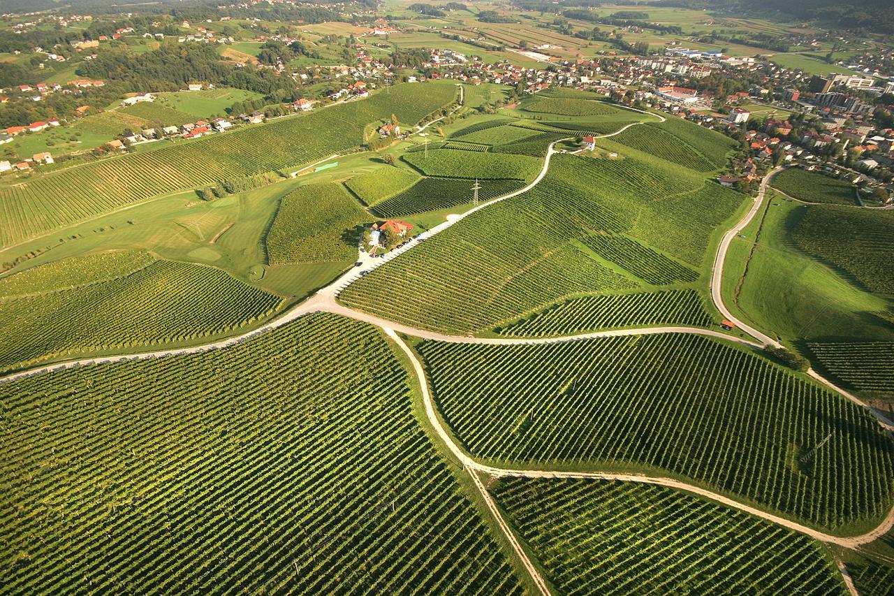 Ferienwohnung Wine Grower's Mansion Zlati Gric Slovenske Konjice Exterior foto