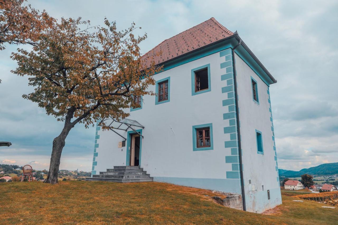 Ferienwohnung Wine Grower's Mansion Zlati Gric Slovenske Konjice Exterior foto