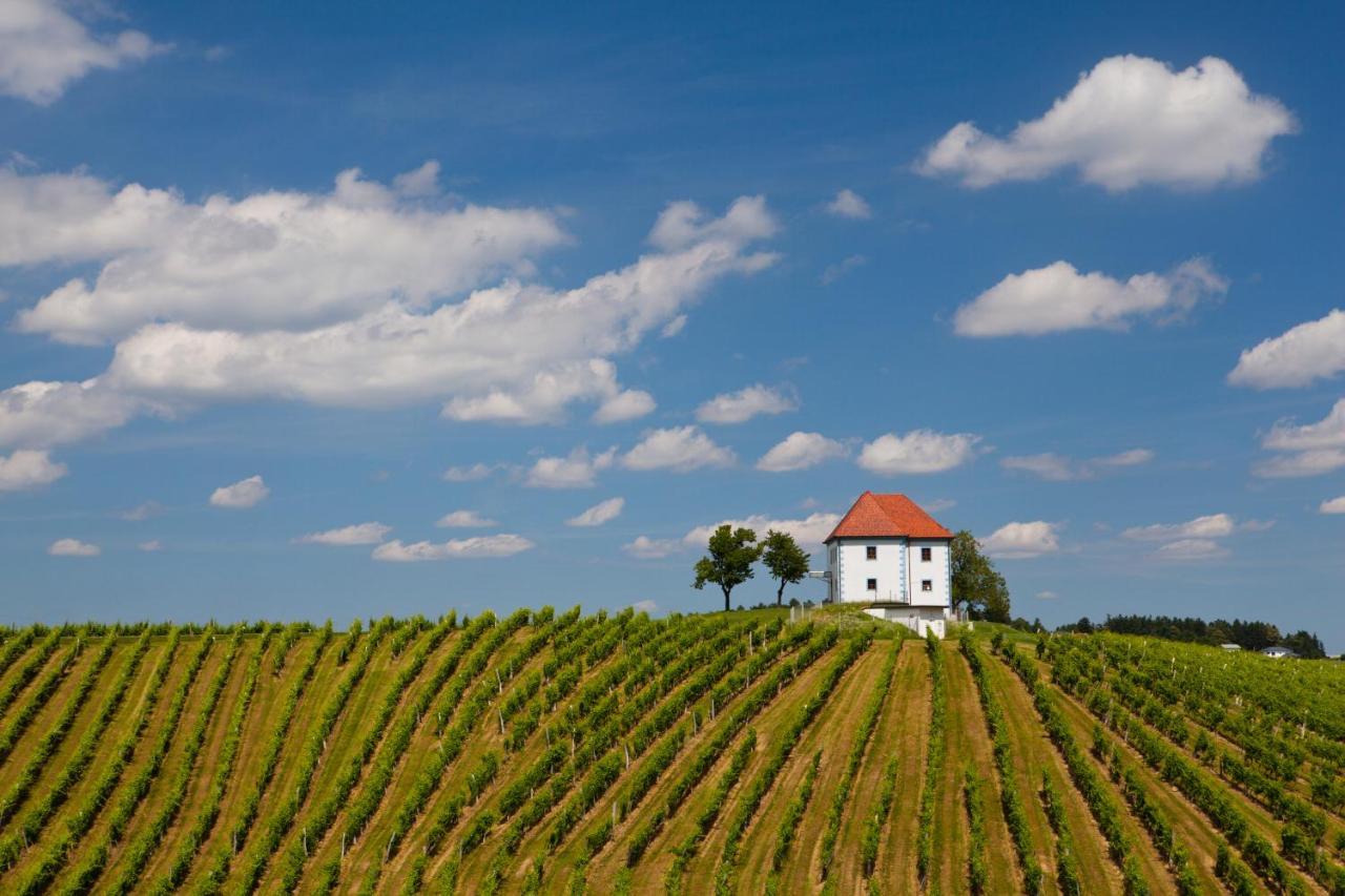 Ferienwohnung Wine Grower's Mansion Zlati Gric Slovenske Konjice Exterior foto